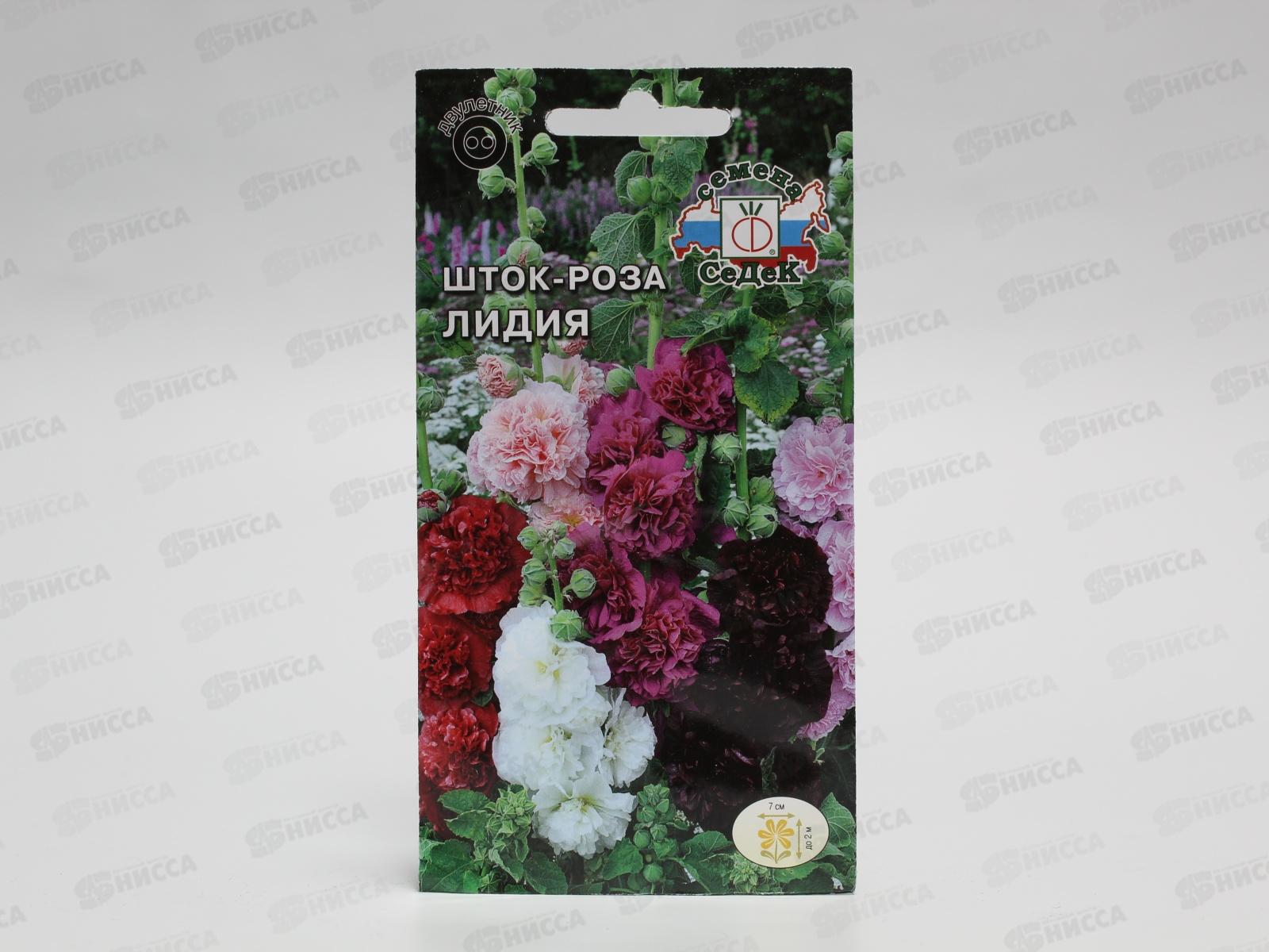 Шток-роза Лидия (крупноцветковая) (Евро, 0,1) СеДек