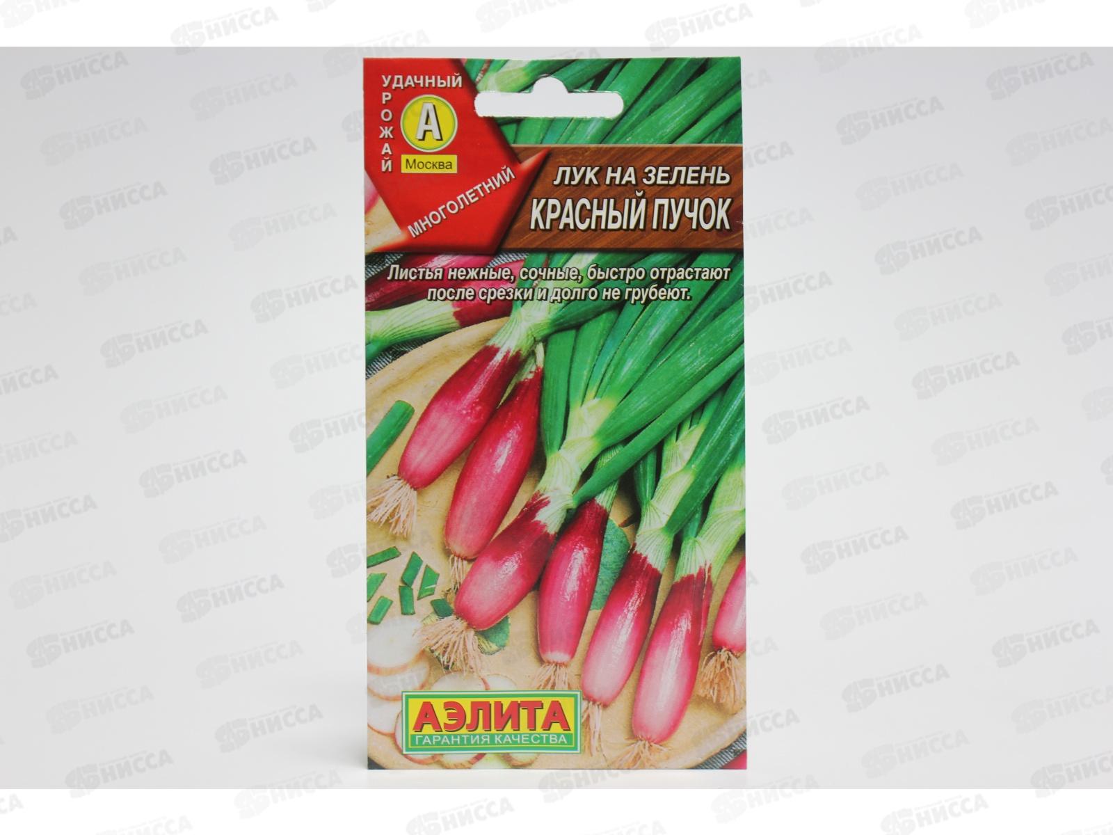 Лук на зелень Красный пучок *10 АЭЛИТА +