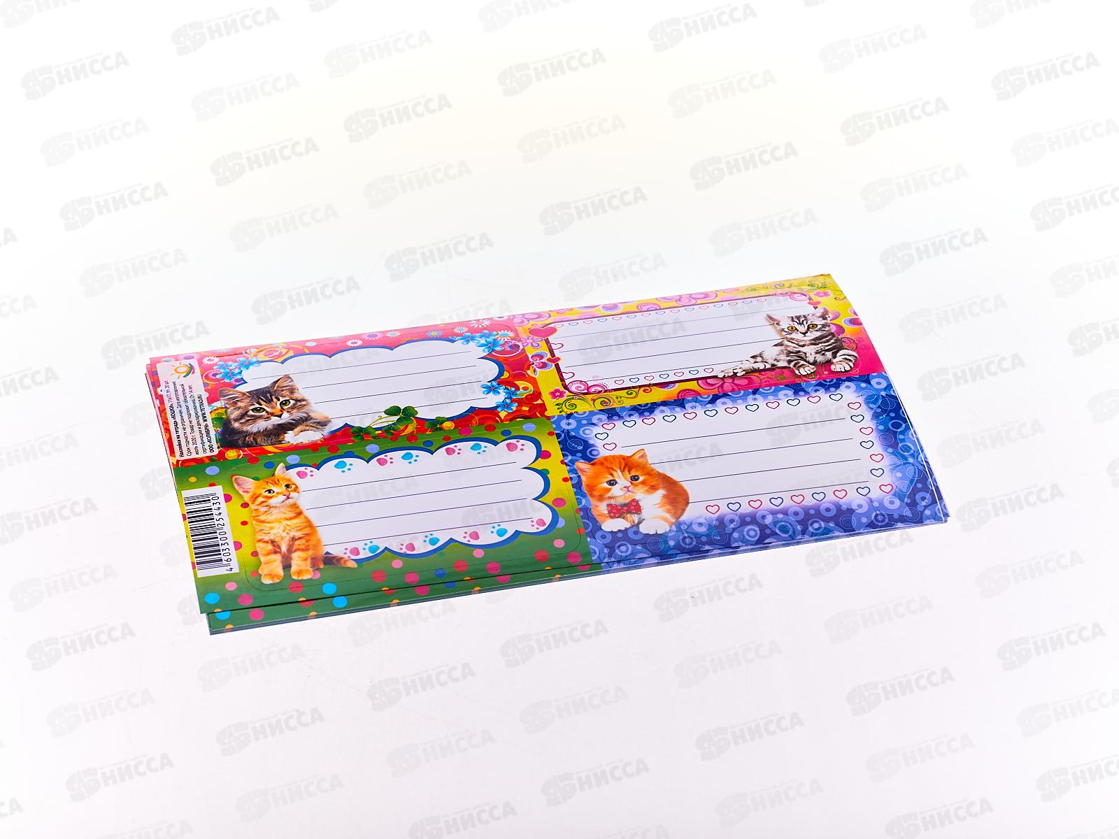 Наклейка для тетрадей  ПГ Кошки,11*17  *20