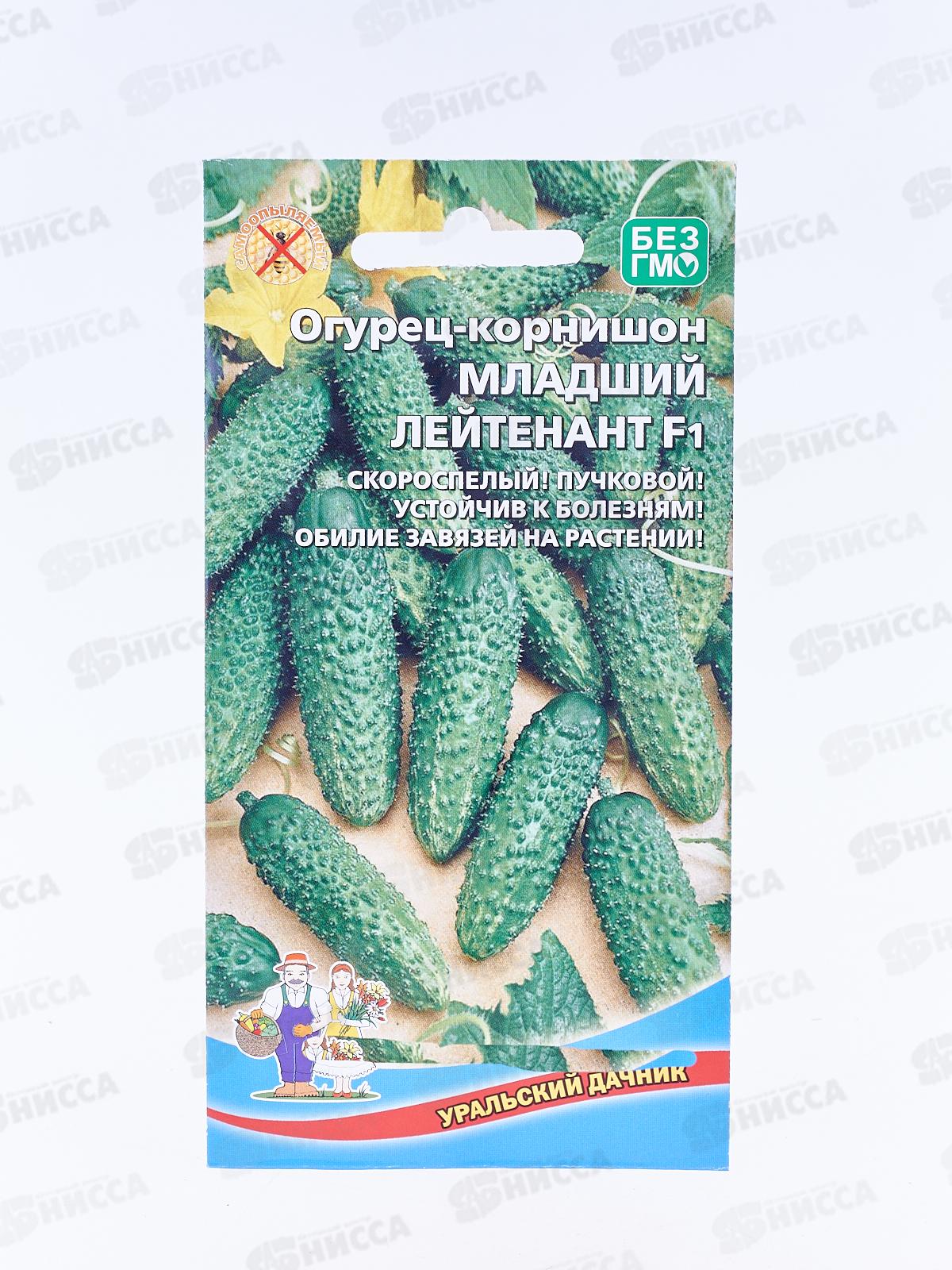 Огурец Младший лейтенант F1 корнишон Евро *10 УрД +