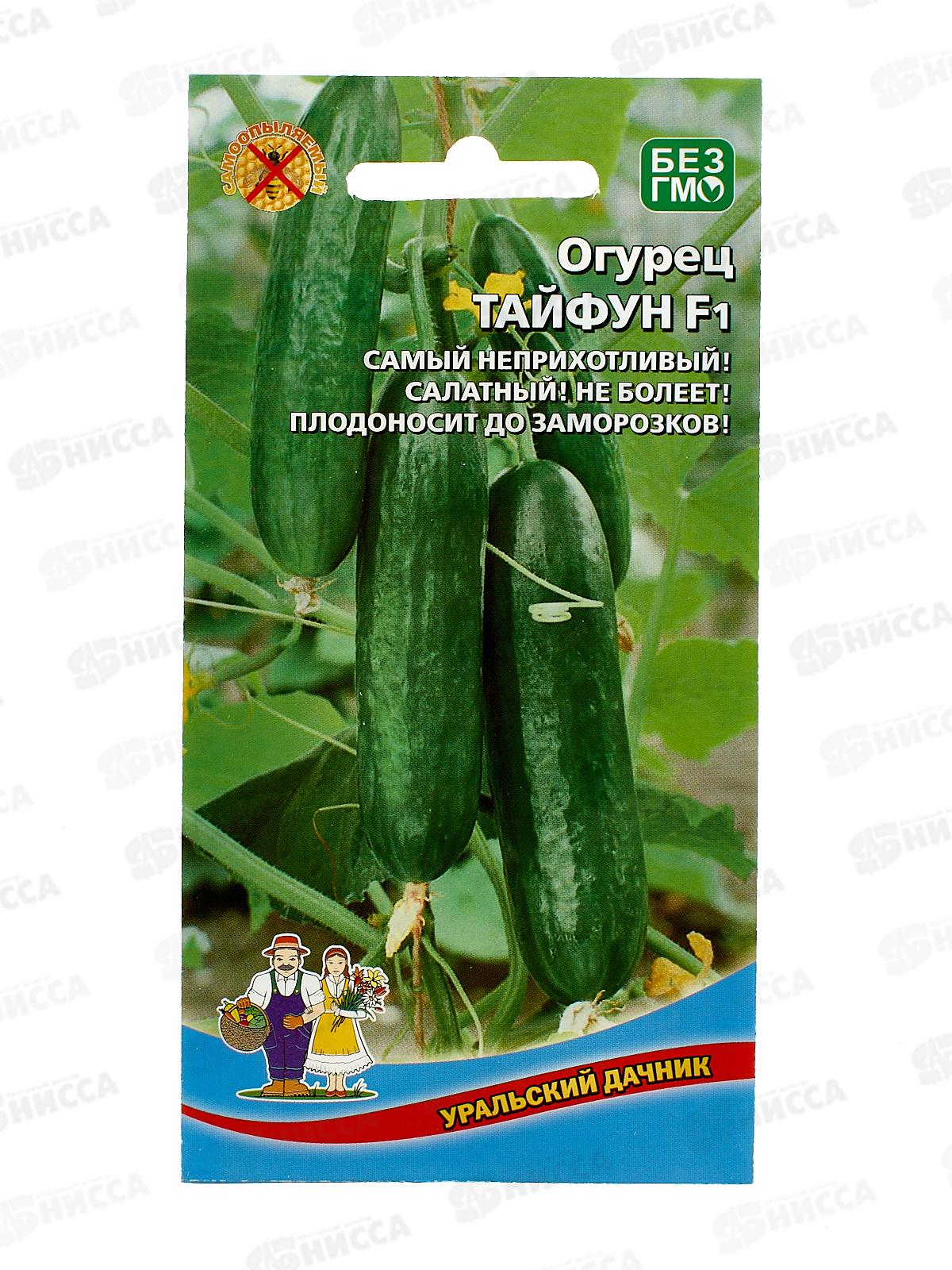 Огурец Тайфун F1 Евро *10 УрД +