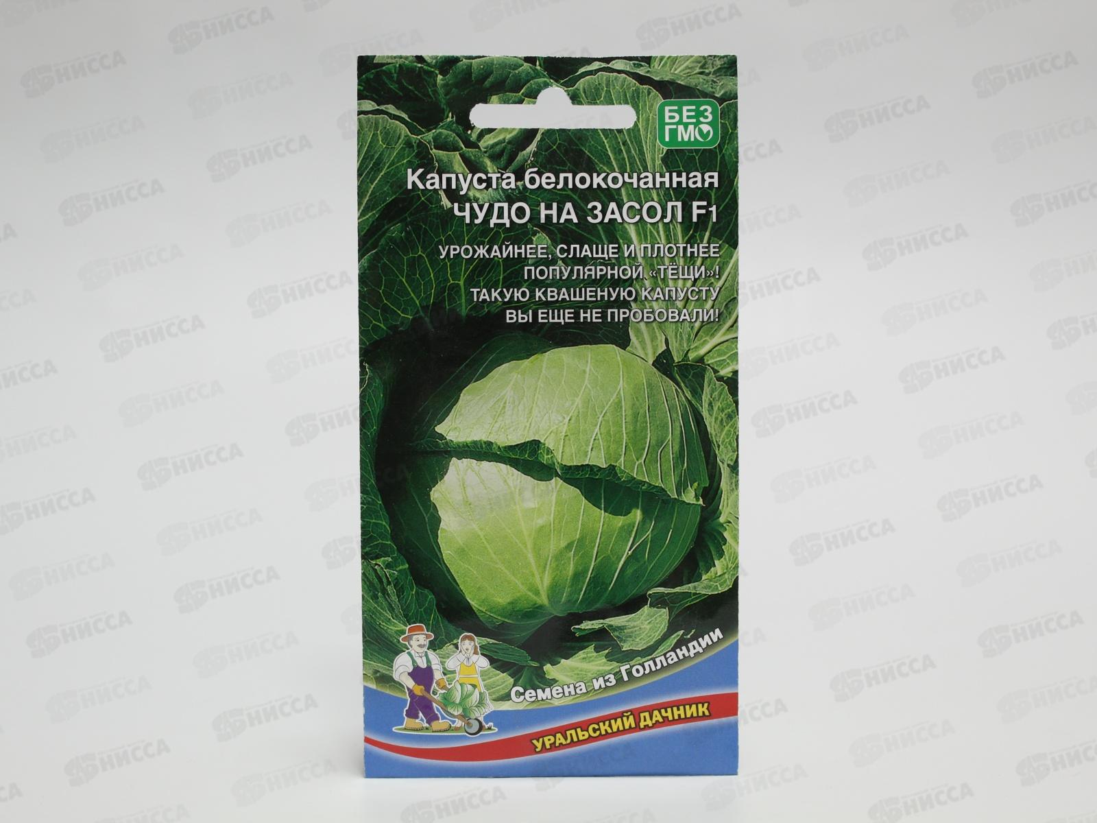 Капуста Чудо на засол белокочанная F1 Евро *10 УрД