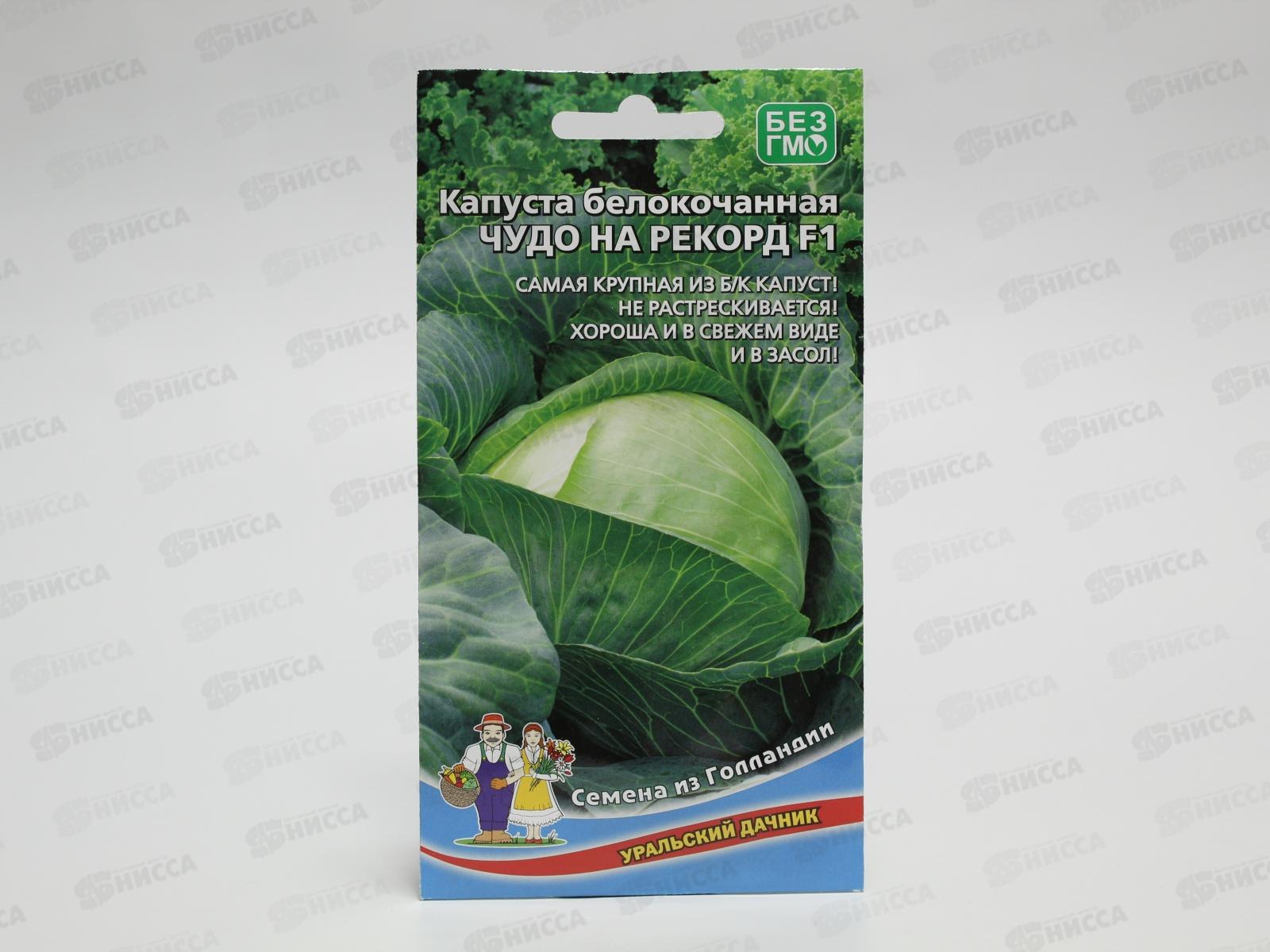 Капуста Чудо на рекорд белокочанная F1 Евро *10 УрД
