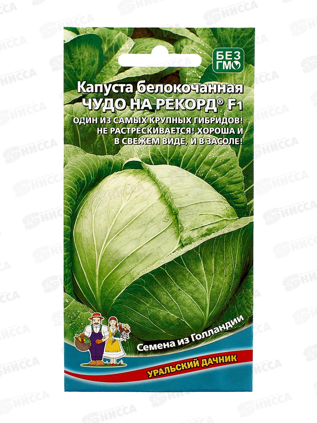 Капуста Чудо на рекорд белокочанная F1 Евро *10 УрД +