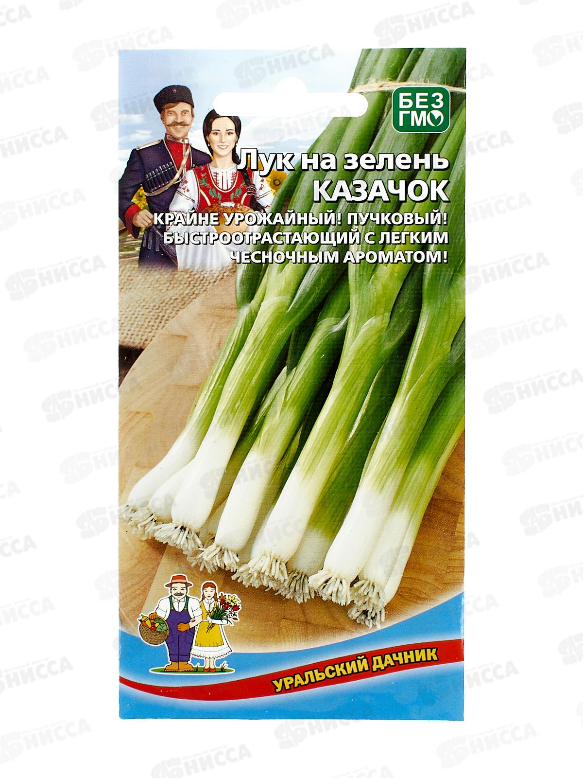 Лук на зелень Казачок (кявар)  Евро *10 УрД +