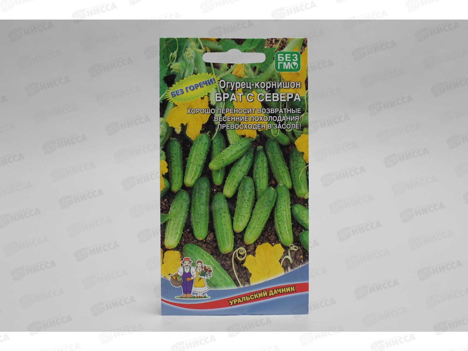 Огурец Брат с Севера корнишон Евро *10 УрД +