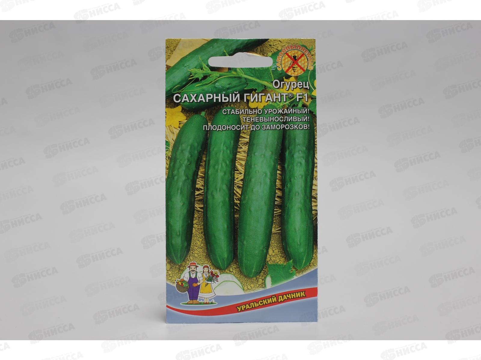 Огурец Сахарный Гигант F1 Евро *10 УрД