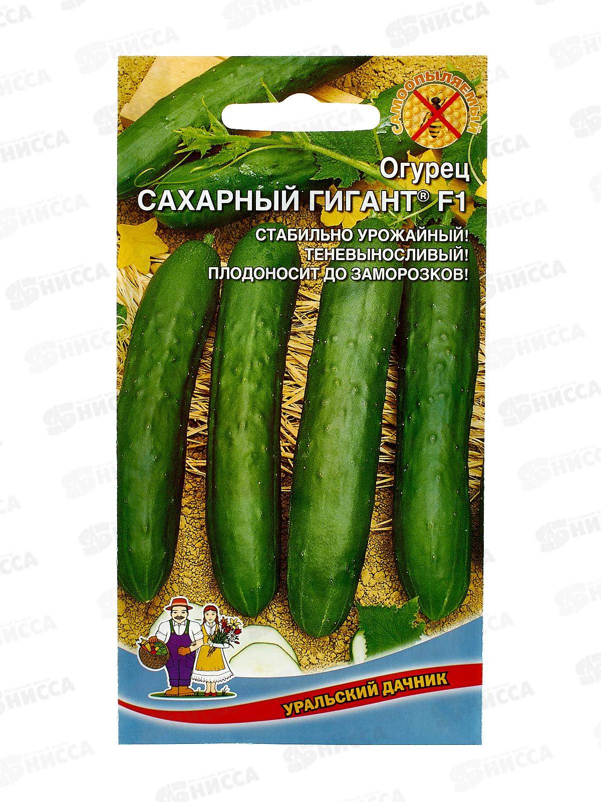 Огурец Сахарный Гигант F1 Евро *10 УрД +