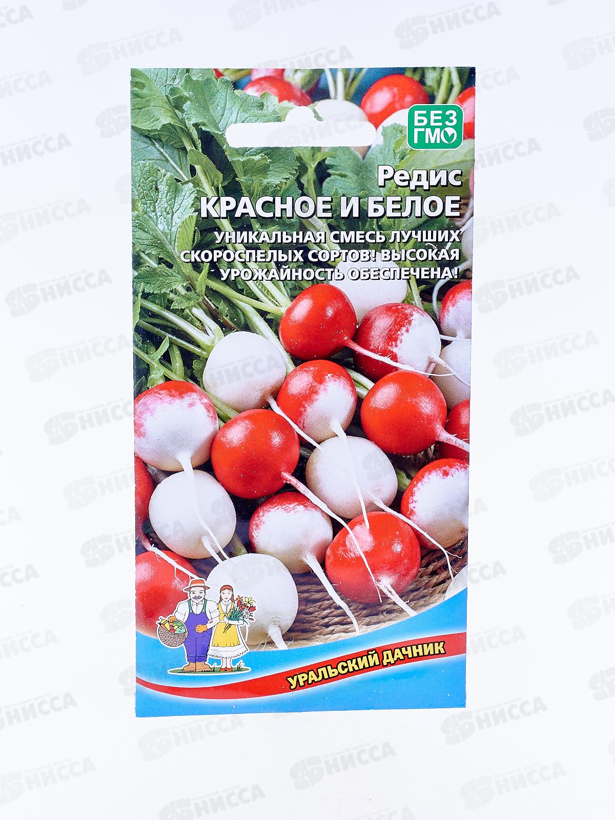 Редис Красное и Белое Евро *10 УрД