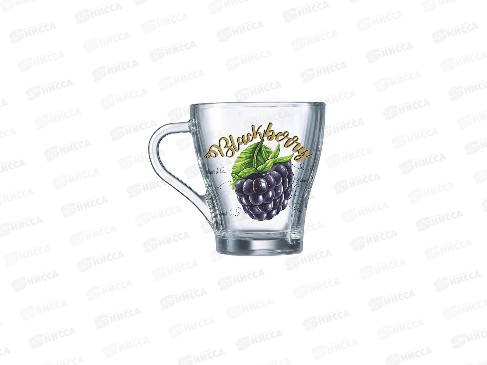 Кружка для чая 250мл Грация Полезная ежевика 1649 *20