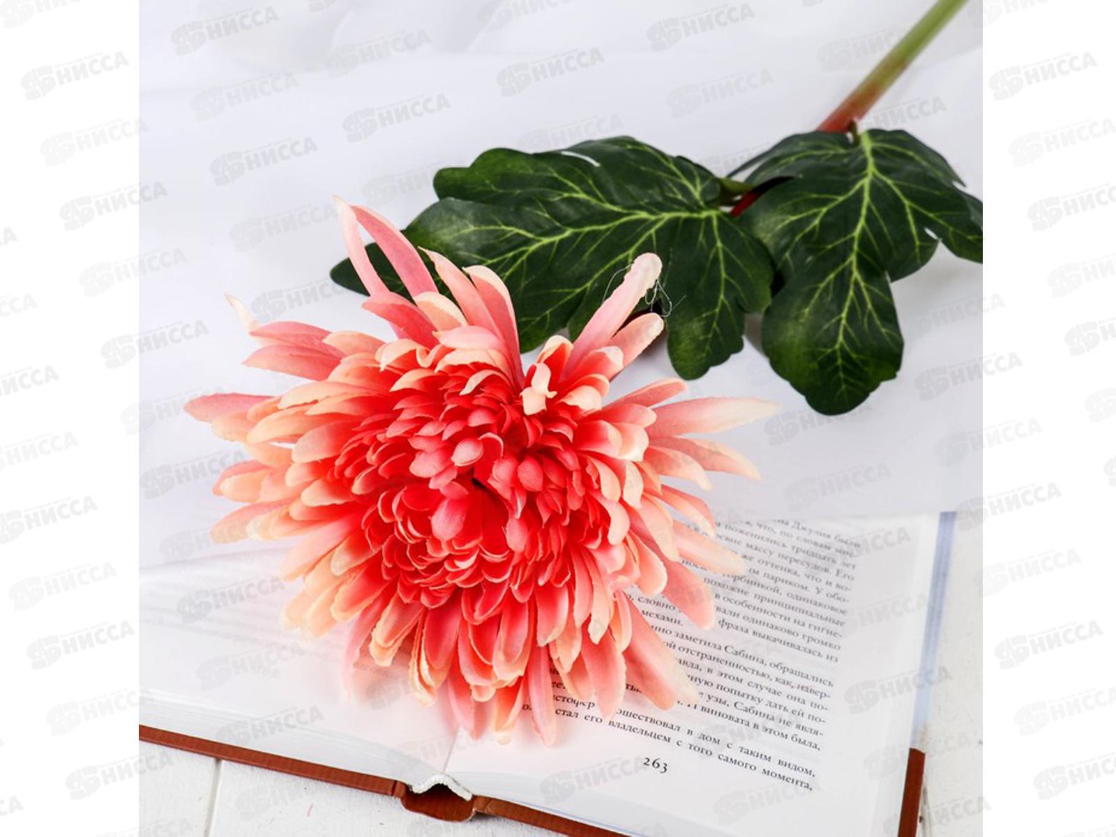 Цветы искусственные 63см Астра пионовидная персик 4642689