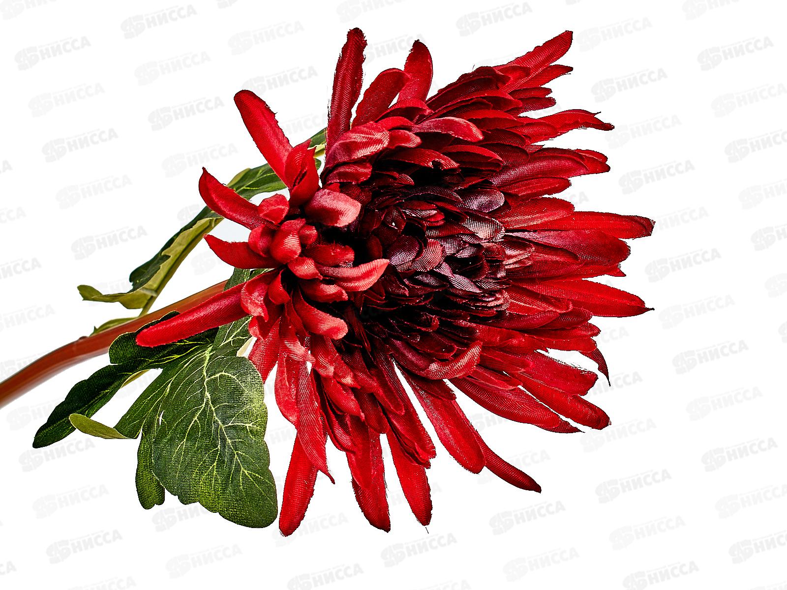 Цветы искусственные 63см Астра пионовидная бордо 4642691