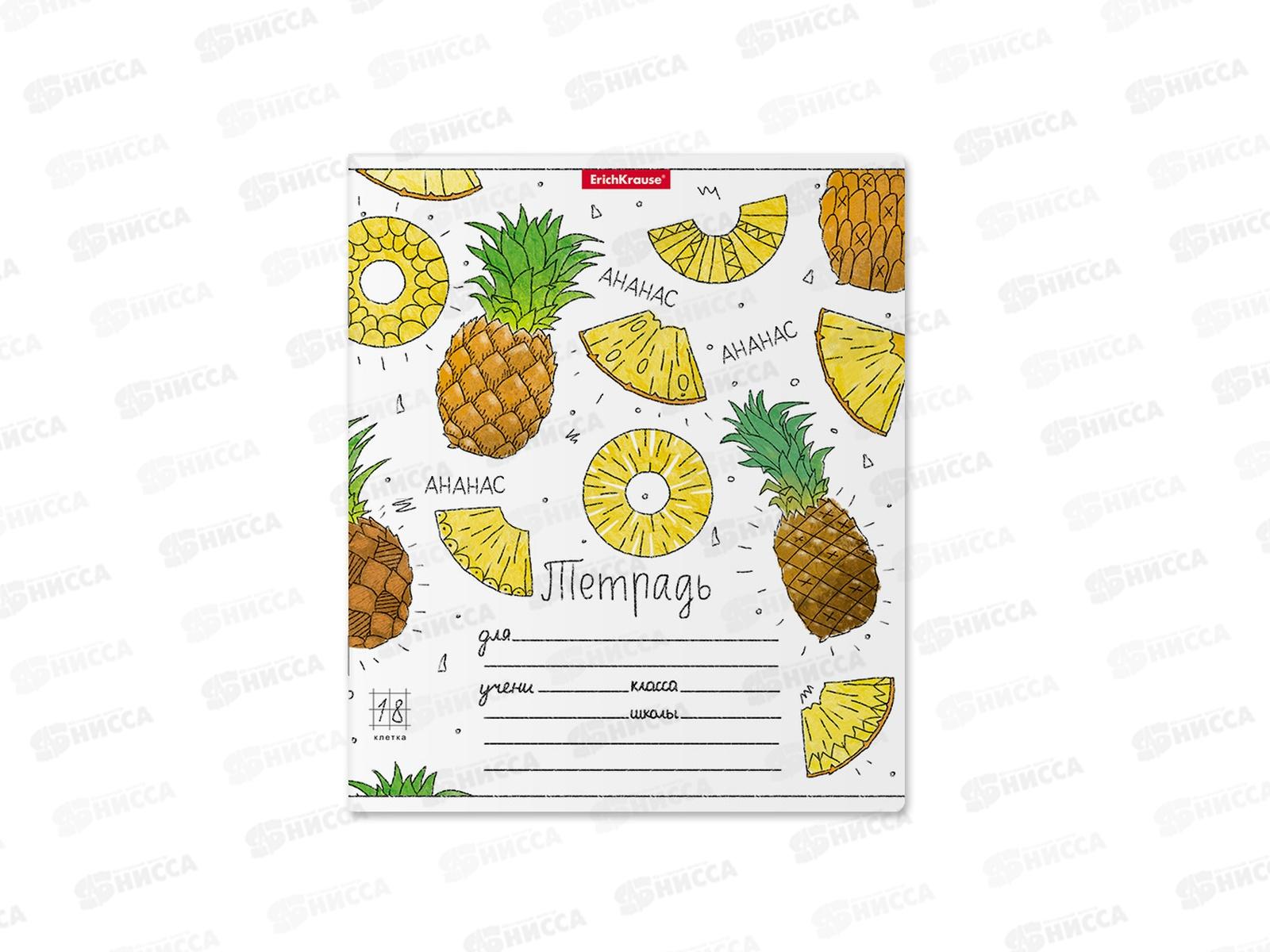 Тетрадь 18 листов  клетка  ПОЛИ Яркие дольки 51415 *10/200