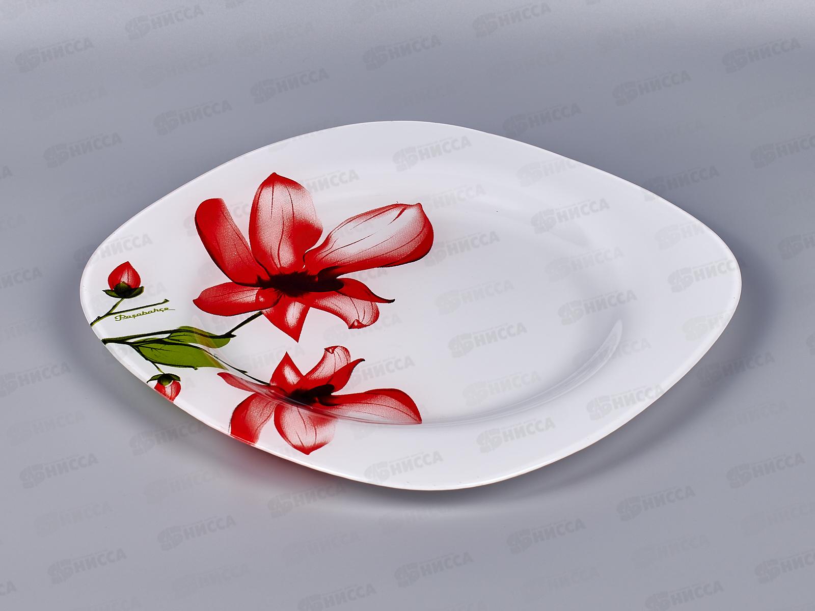 Тарелка Экзотик 260мм упрочненная  10519SLBD2 *12