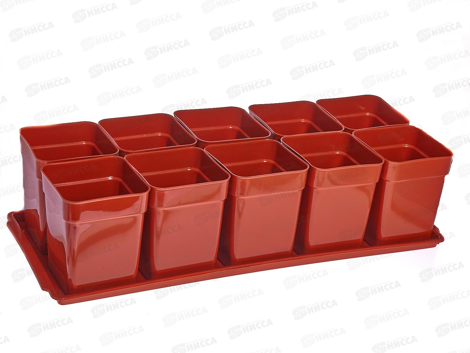 Набор для рассады &quotДачник-1&quot 10ст*900мл терракотовый *5