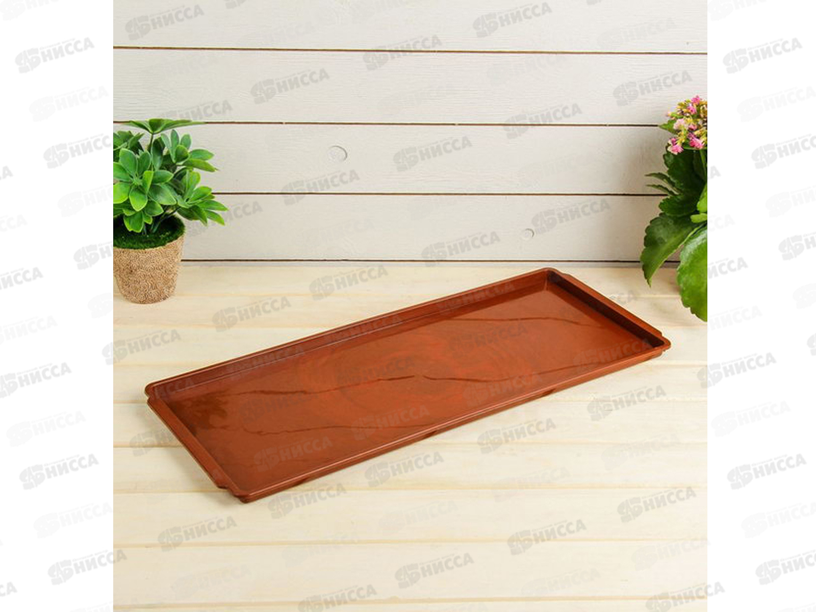 Лоток под рассаду &quotДачник-1&quot терракот 505*200*15 *50