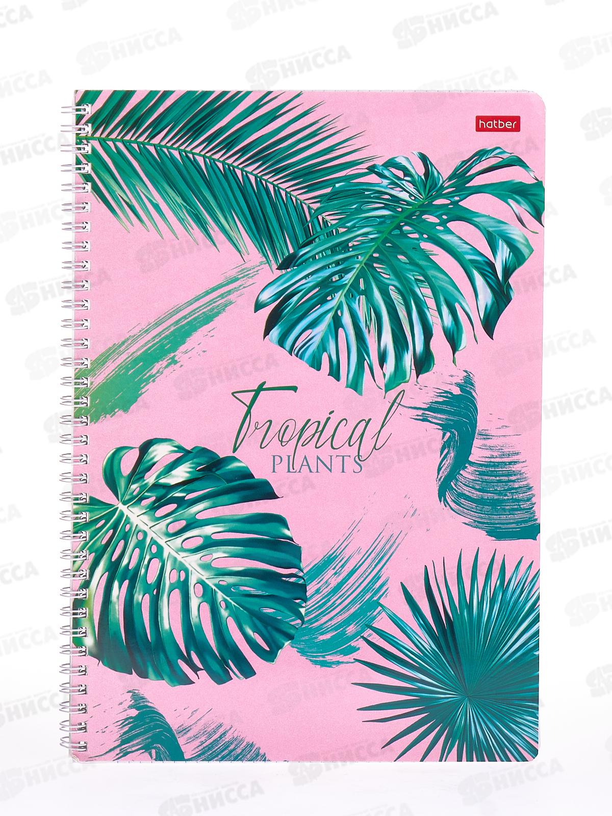 Тетрадь 96листов клетка  Hatber А4 Тропические листья, на гребне *4/24