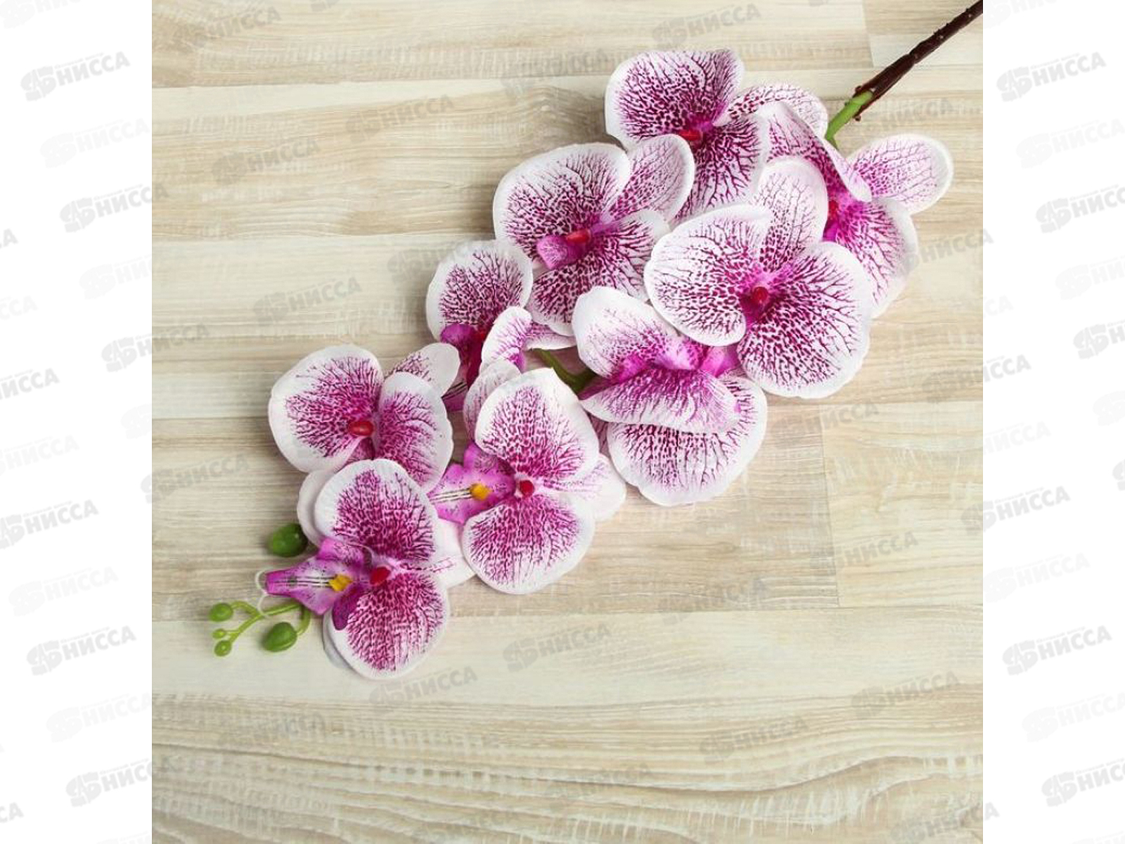 Цветы искусственные 90см Орхидея Тигровая бело-сир 2337943