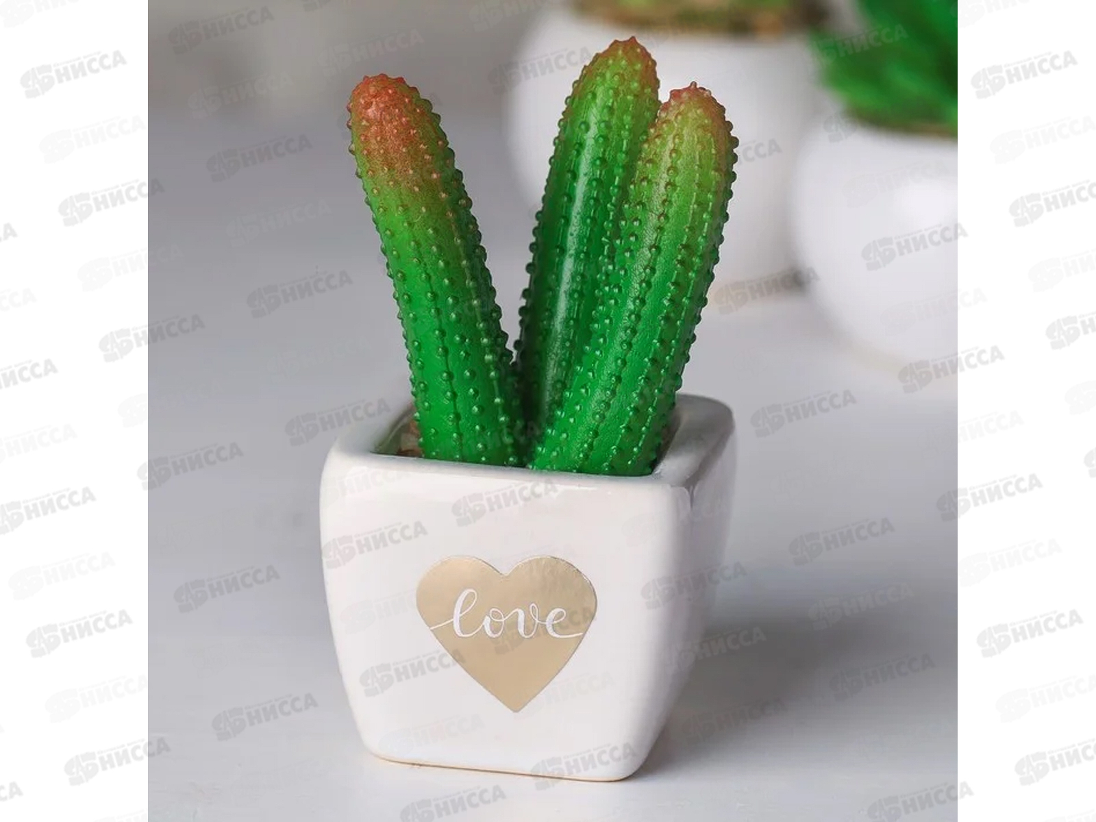 Бонсай Суккулент в горшке Love 10,5*6см 4095590