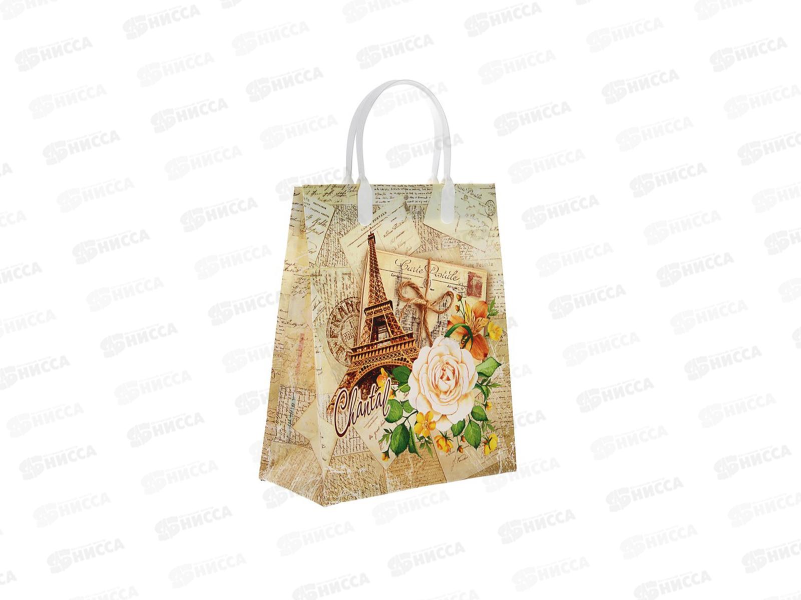 Сумочка пластик мягкий 23*27 Шанталь *40