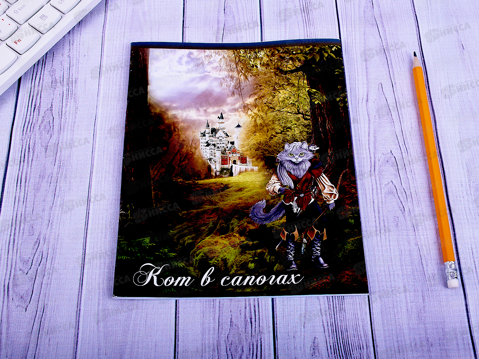 Тетрадь 24листа клетка ТПМ Сказки ТШ24К9396/6*20/160