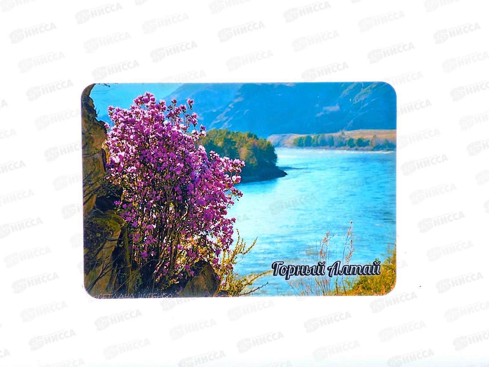 Магнит "Горный Алтай" винил прямоугольник 98*68 в асс Ф0935