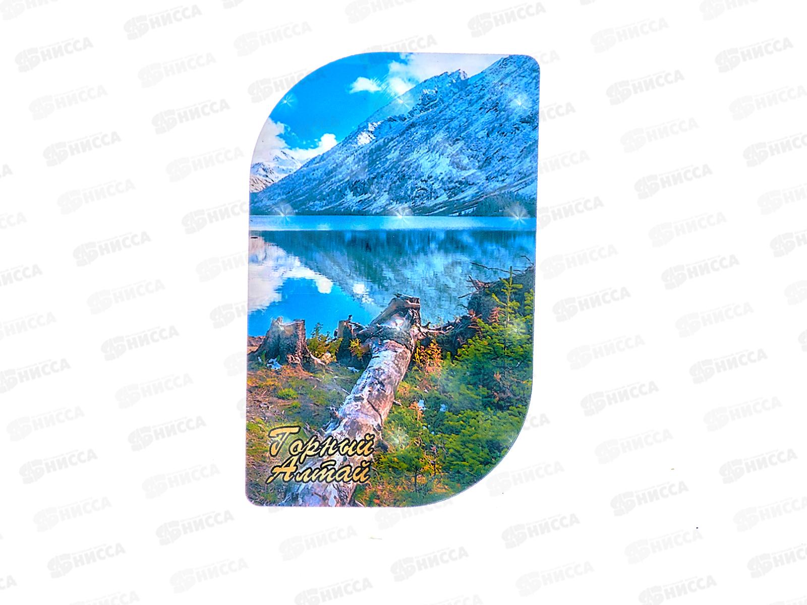 Магнит "Горный Алтай" винил 3Д лепесток 85*54 в асс Ф0902