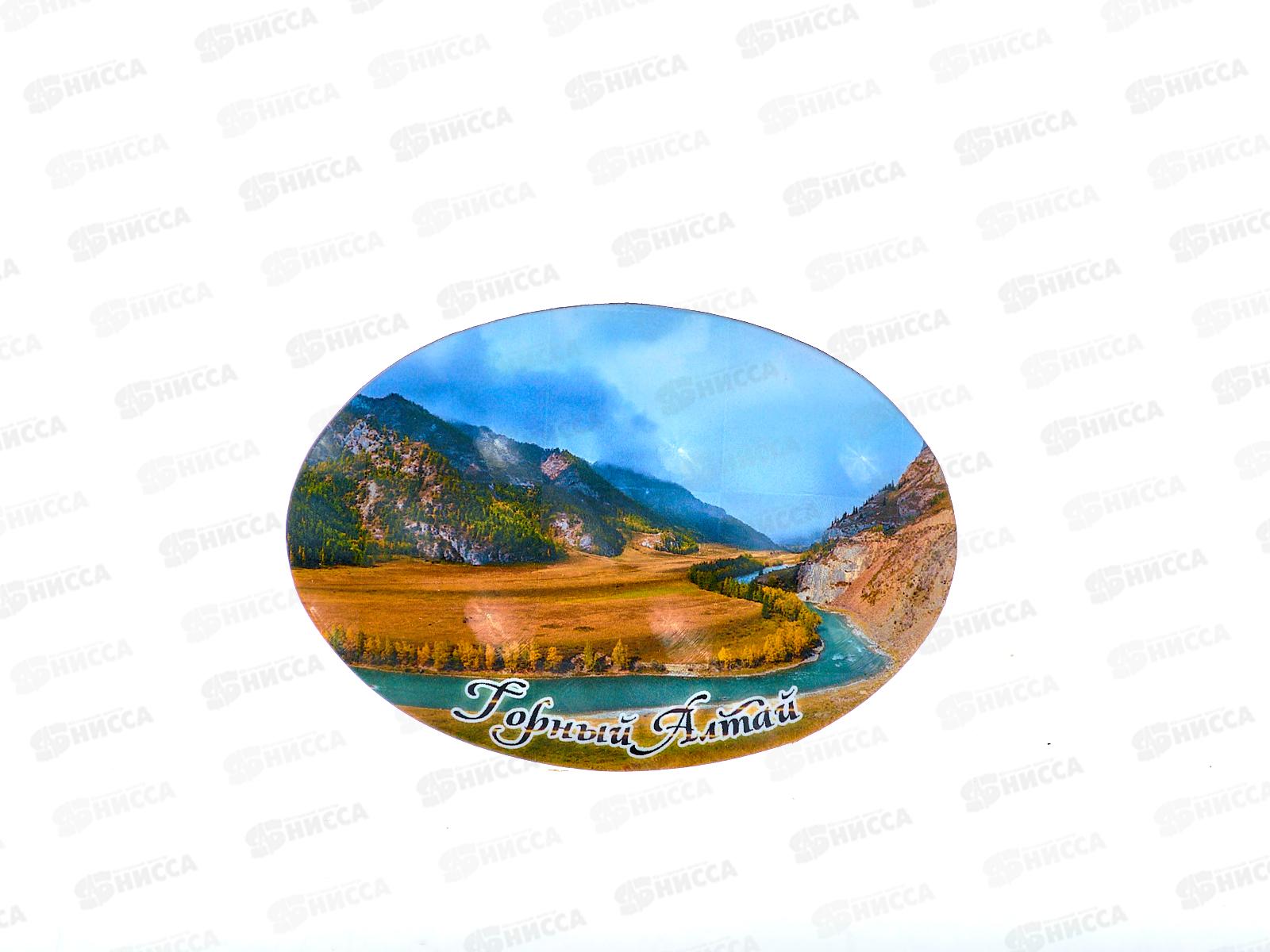 Магнит "Горный Алтай" винил 3Д элипс 80*57 в асс Ф0089