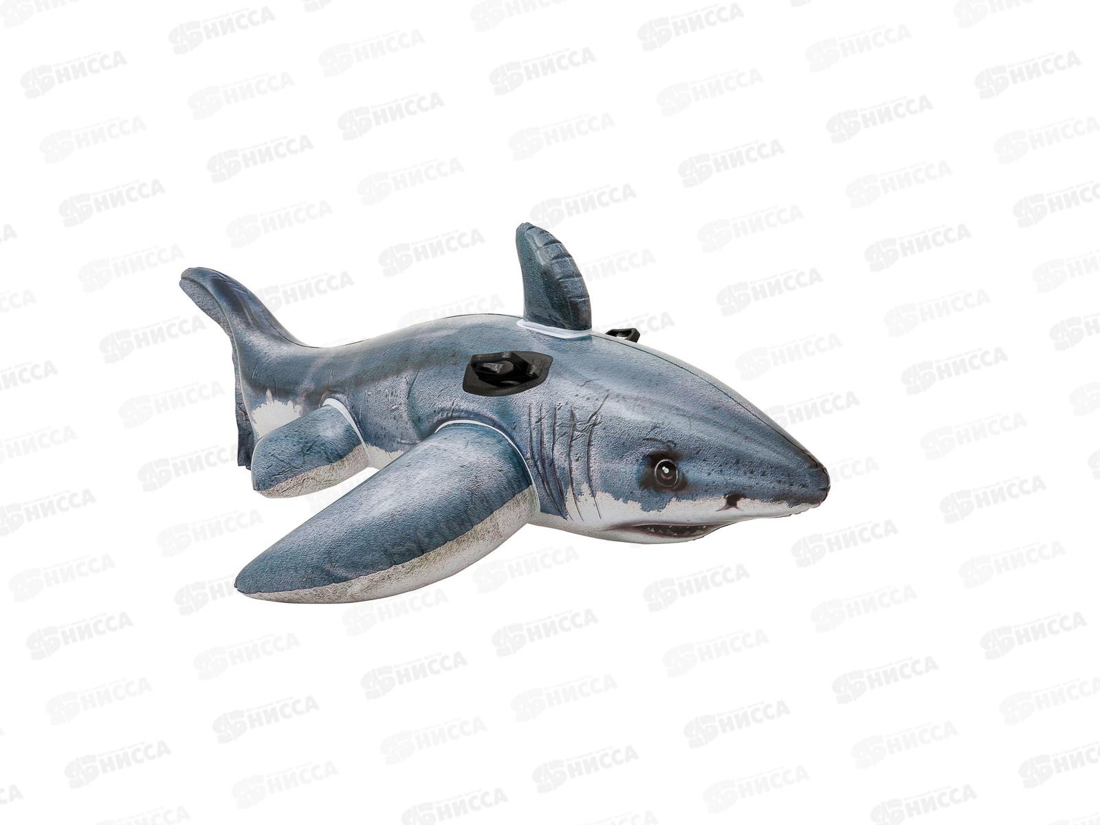 Надувная игрушка Акула 183*102см Bestway 41405 *12