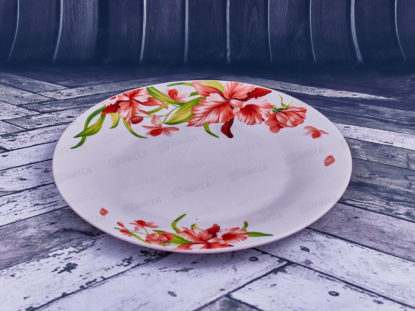 Тарелка обеденная Вьюнок 23см MFK20252