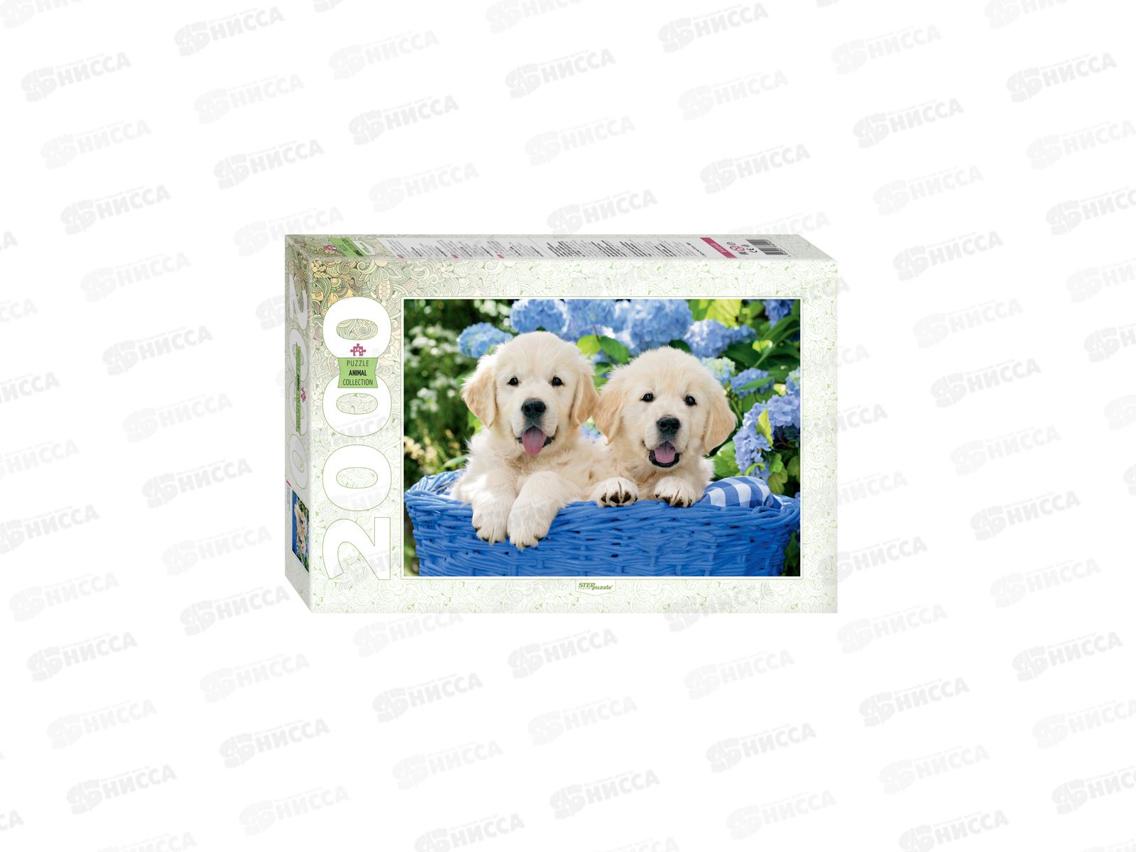 ПАЗЛЫ 2000 элементов 84040 Щенята в корзине *6