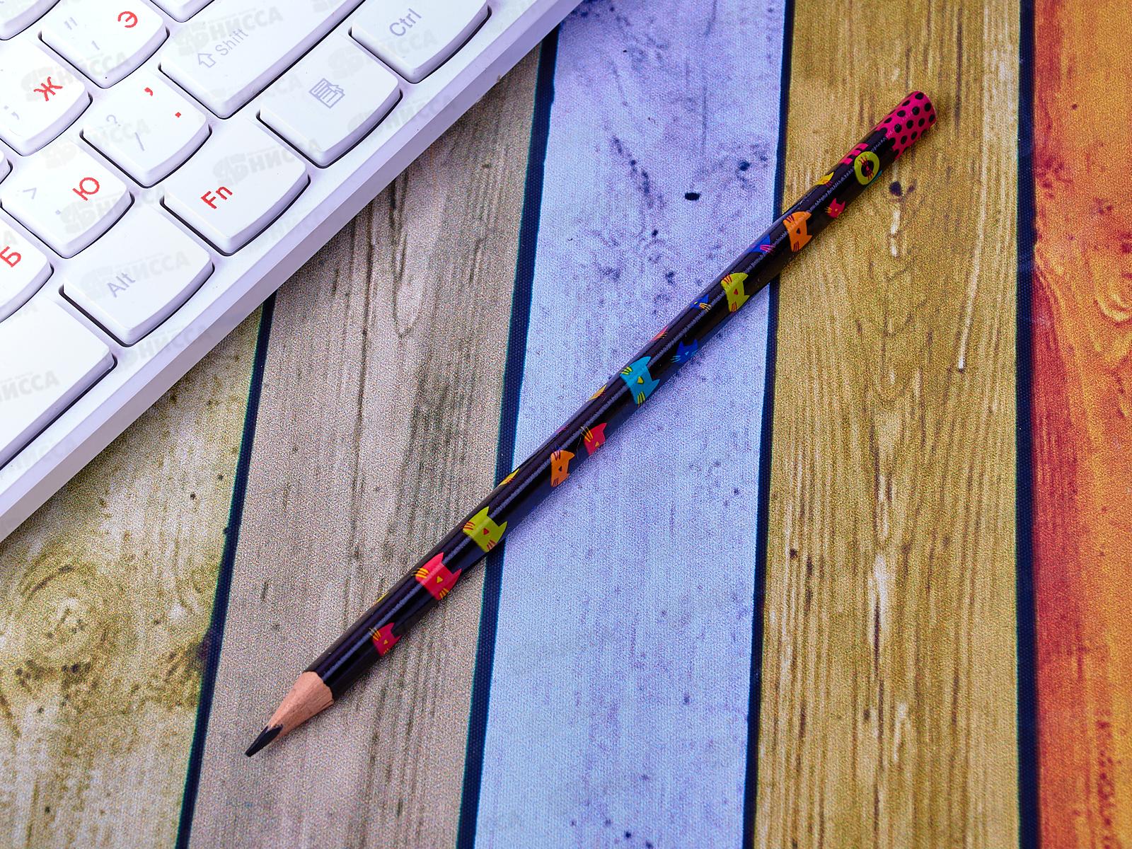 Карандаш чернографитный  КОКОС &quotMeow&quot, трехгранный пластиковый HB 206365