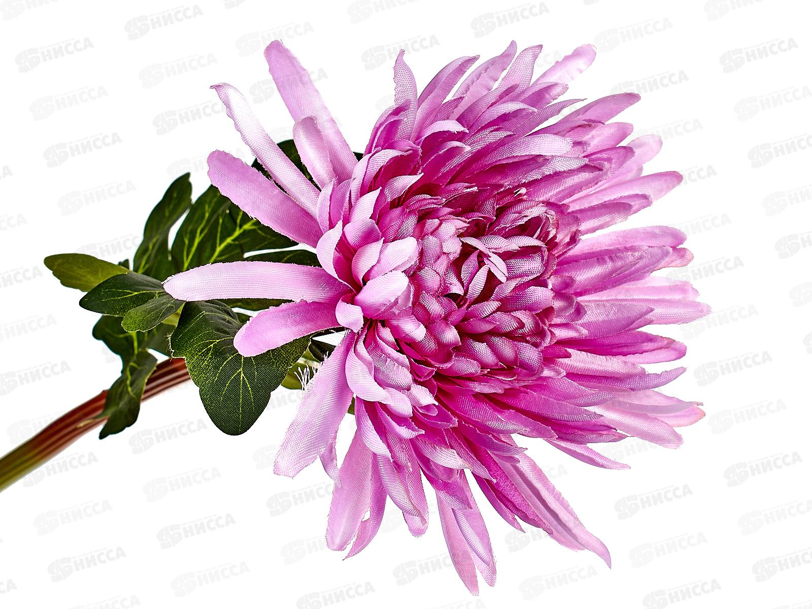 Цветы искусственные 63см Астра пионовидная сиреневый 4642690