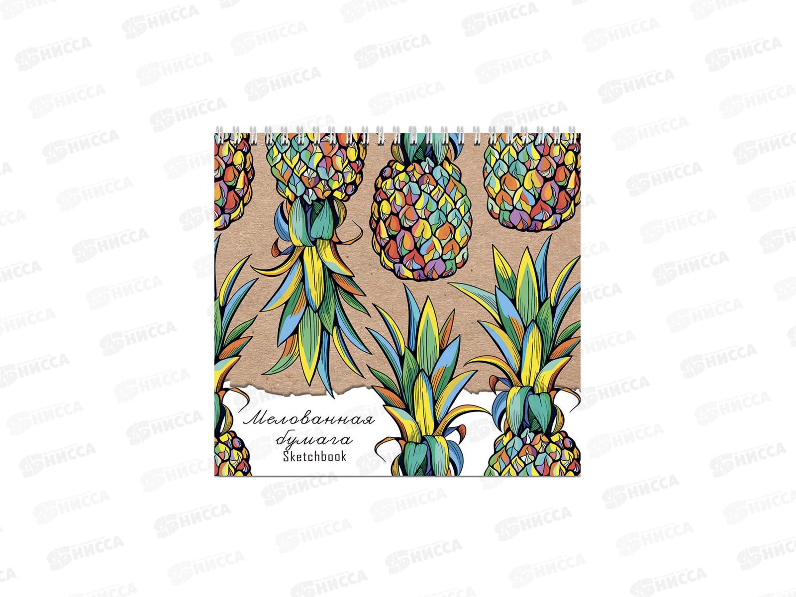 Скетчбук ПП 40л Яркие ананасы, на гребне 190х190мм, 40-5657 *16