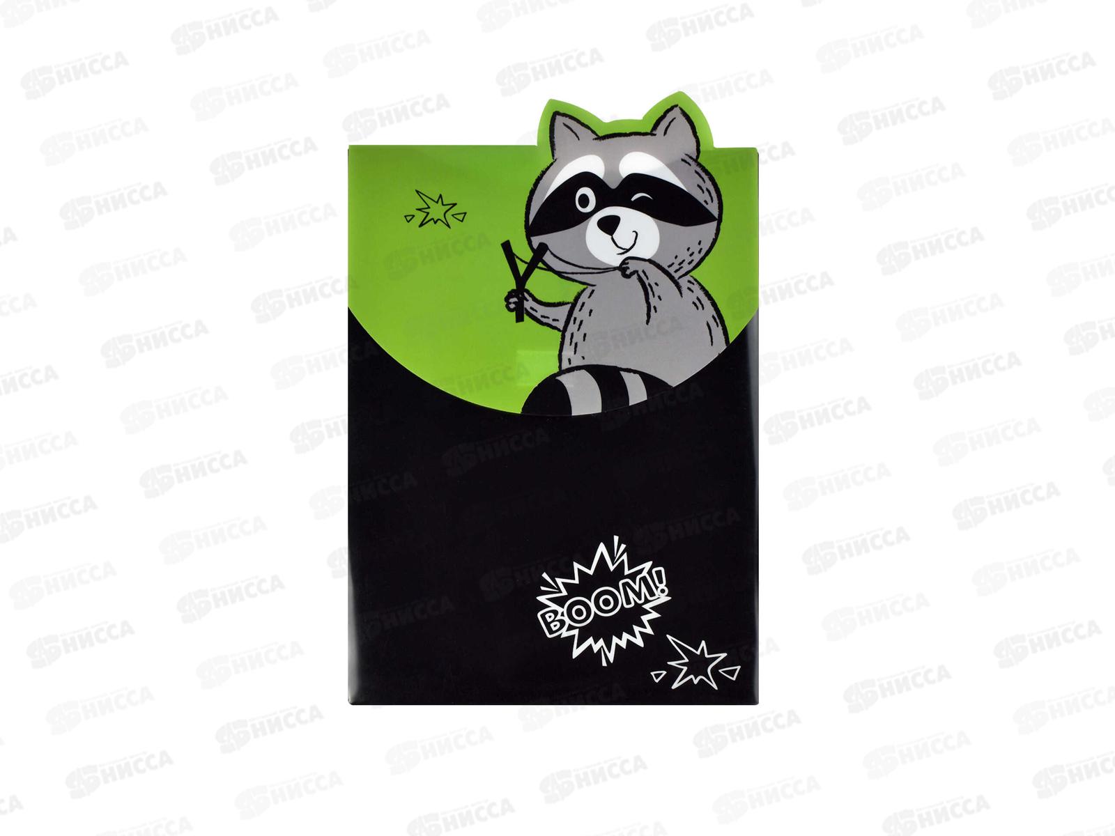 Папка для тетрадей ФЕН А4 Енот, пластик 56317*12