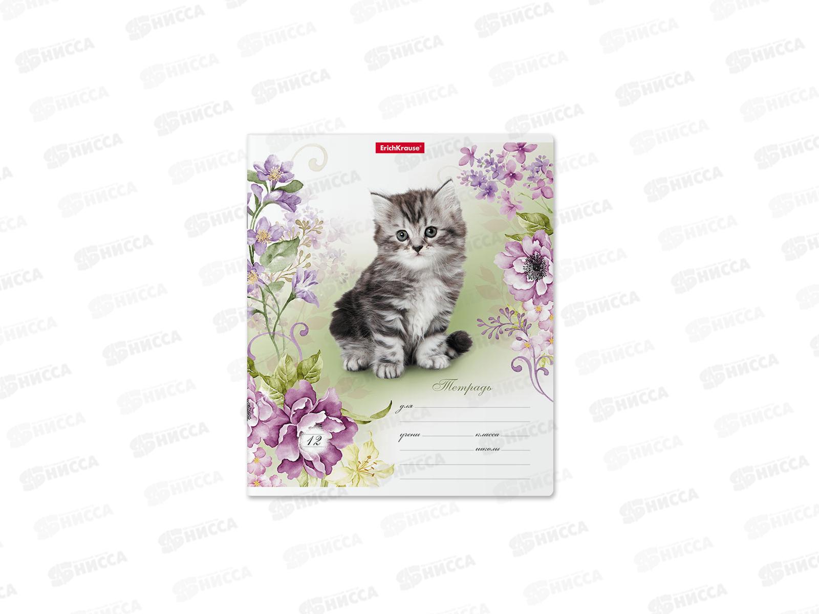 Тетрадь 12листов линия ПОЛИ Мурзики 48821 *10/280