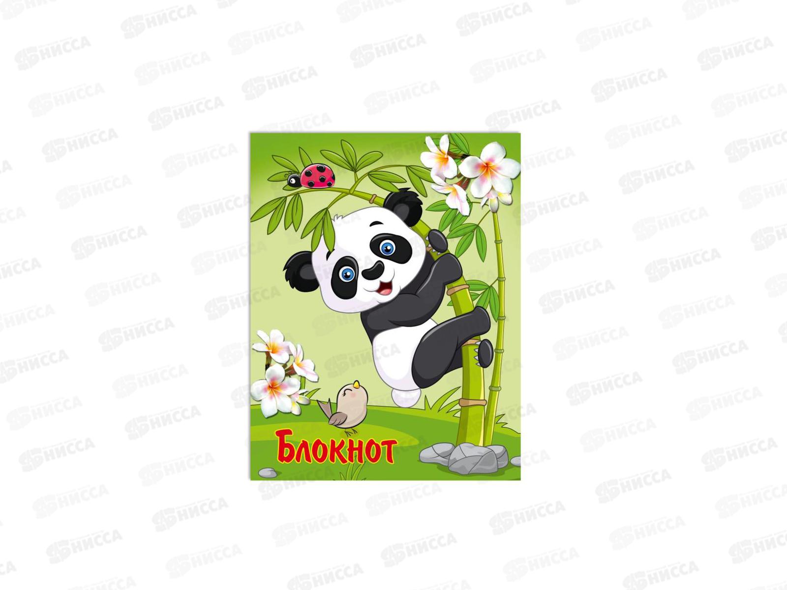Блокнот 16листов ПГС Пандочка, 70*90 *24