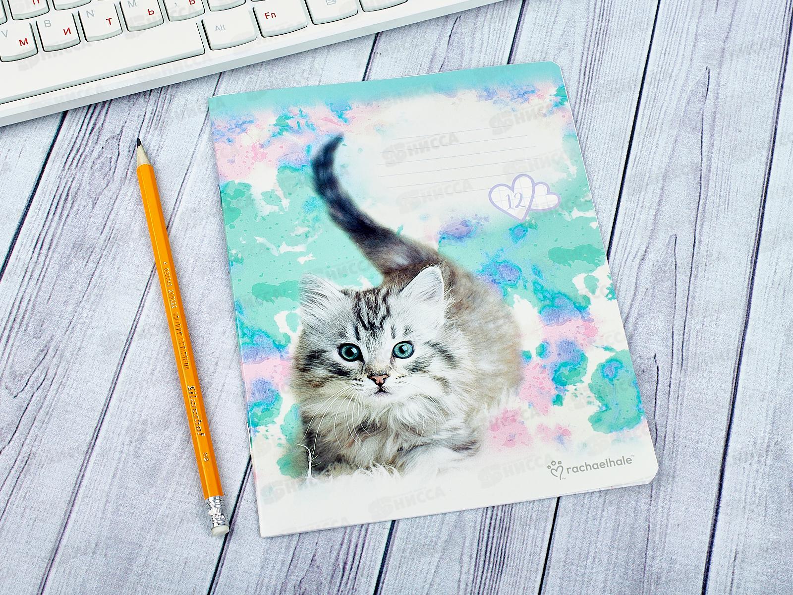 Тетрадь 12листов клетка АКАД Rachael Hale, картонная обложка, УФ двойная RH65/5-EAC*20/120