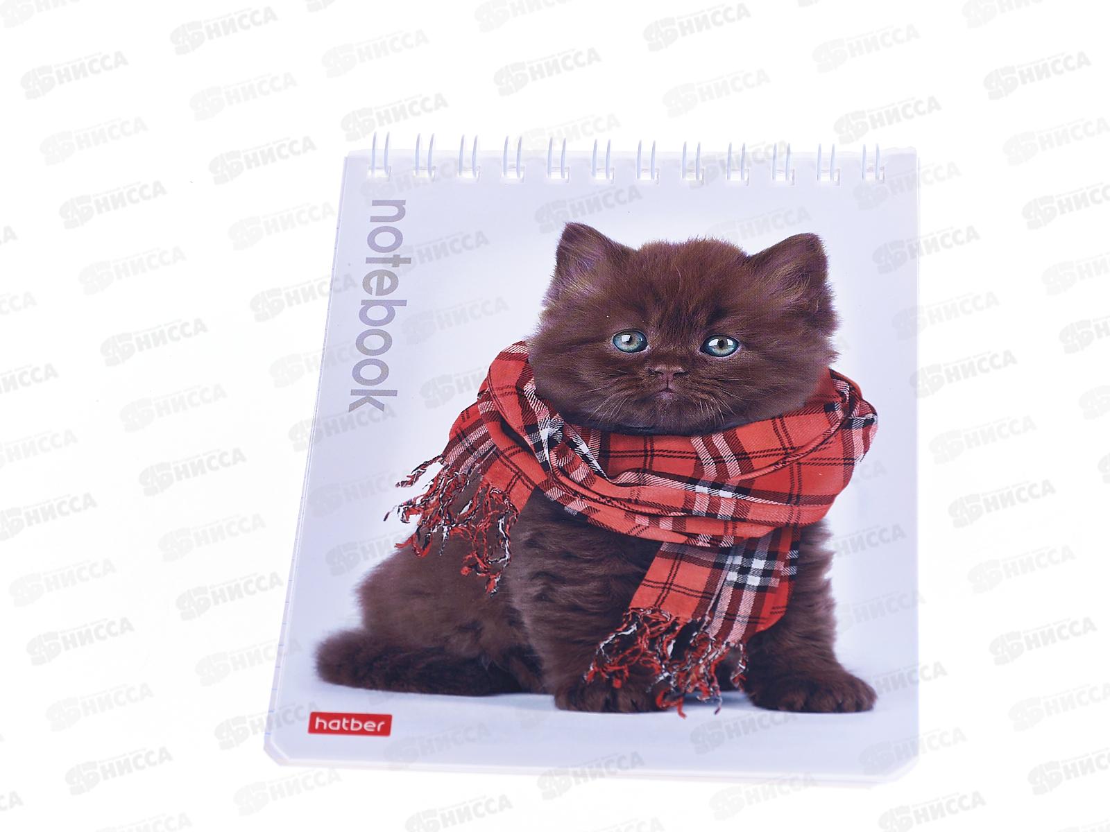 Блокнот 40листов Hatber А6 Милые котята *96