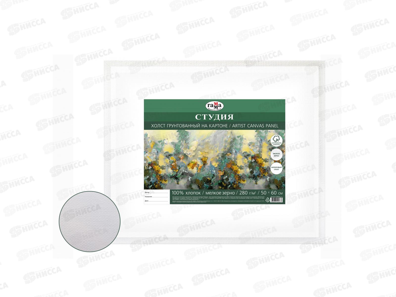 Холст на картоне ГАММА " Студия" 50*60см, 280818_11