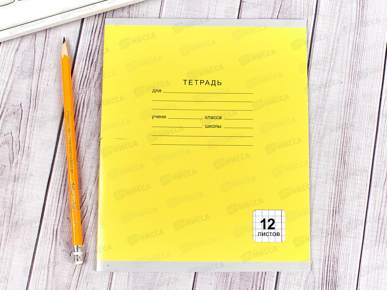 Тетрадь 12листов клетка ЭКСМ Однотонная серия, 5 видов ТК124996 *100