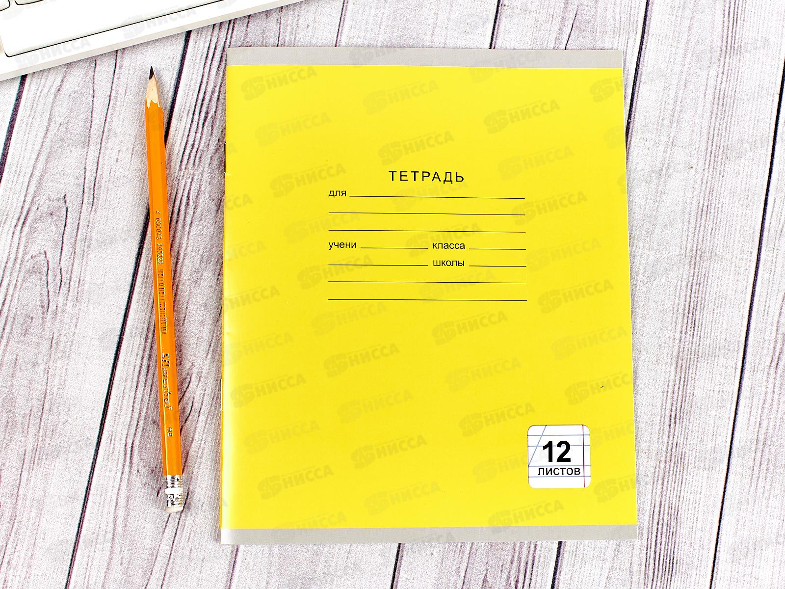 Тетрадь 12листов  в косую линию ЭКСМ Однотонная серия, 5 видов ТКЛ124995 *100