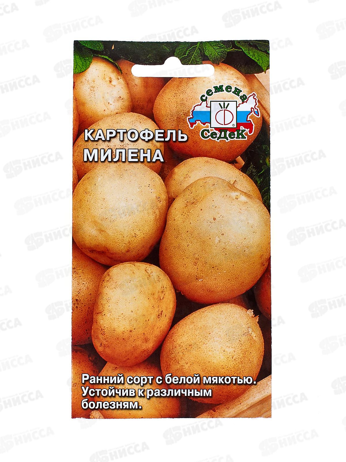 Картофель Милена (Евро 0,02)  СеДек *10