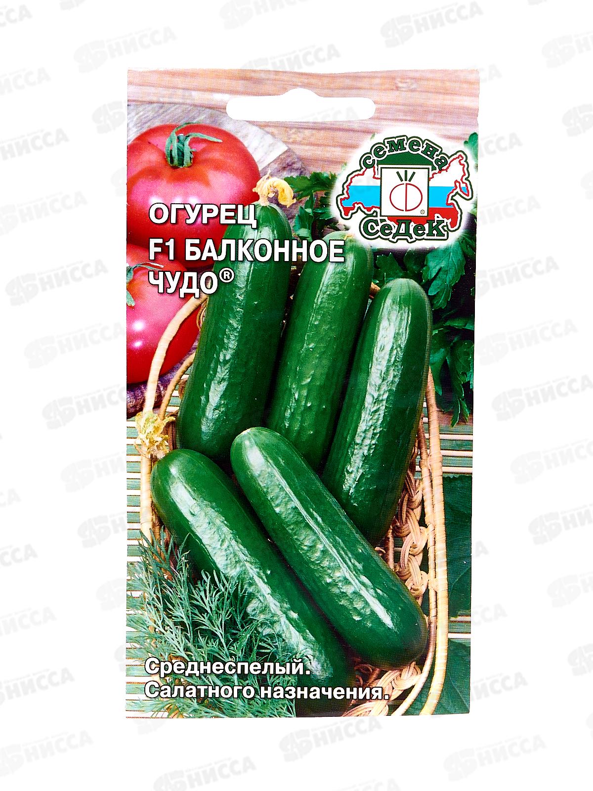 Огурец Балконное Чудо 2 F1 (Евро, 0,2) СеДек *10