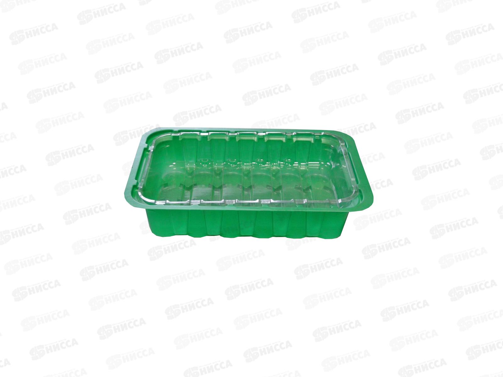 Парник под торфяные таблетки 24 мест *100