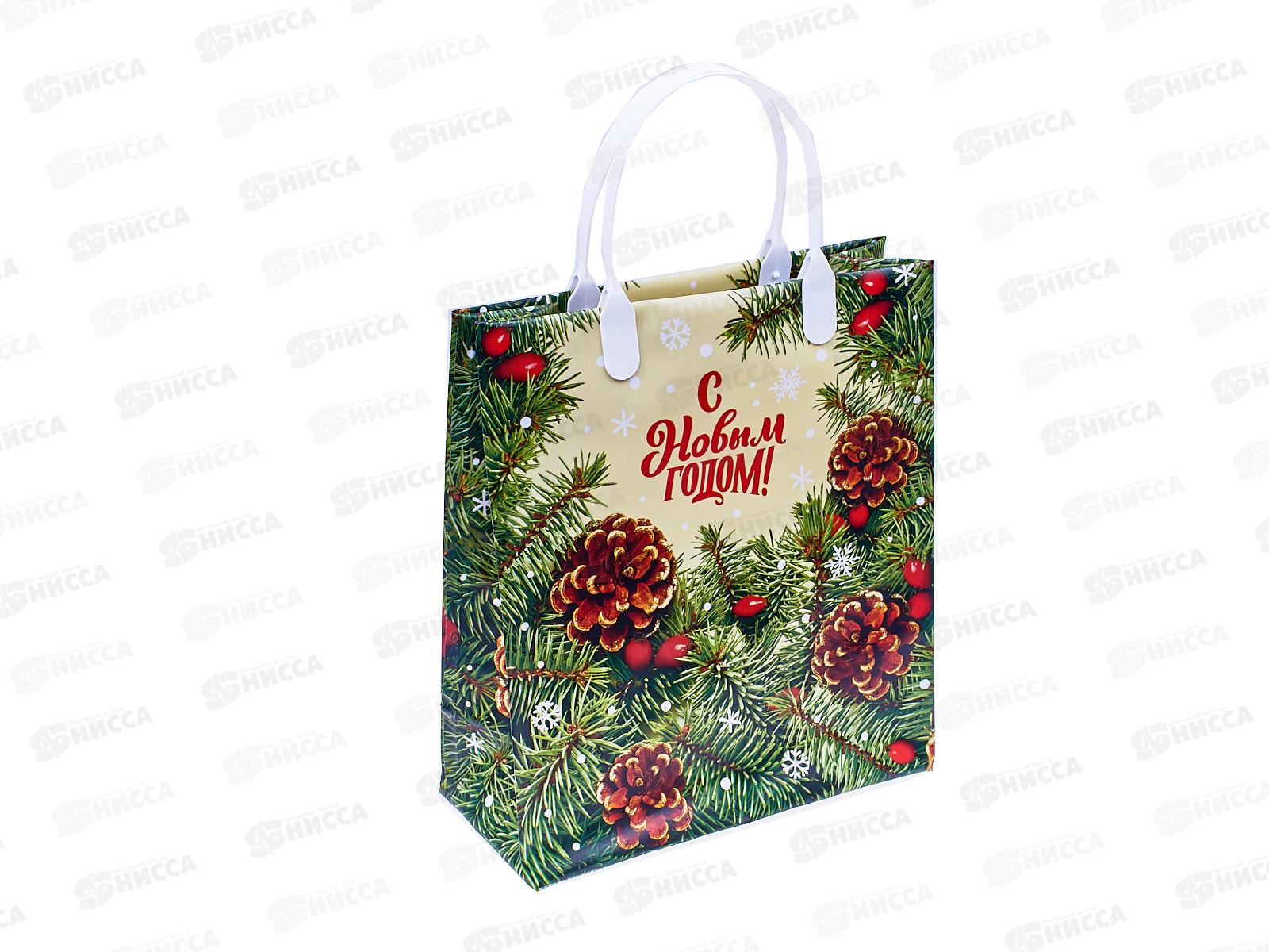 Сумочка пластик мягкий Новый Год 23*27 Сибирская красавица *40