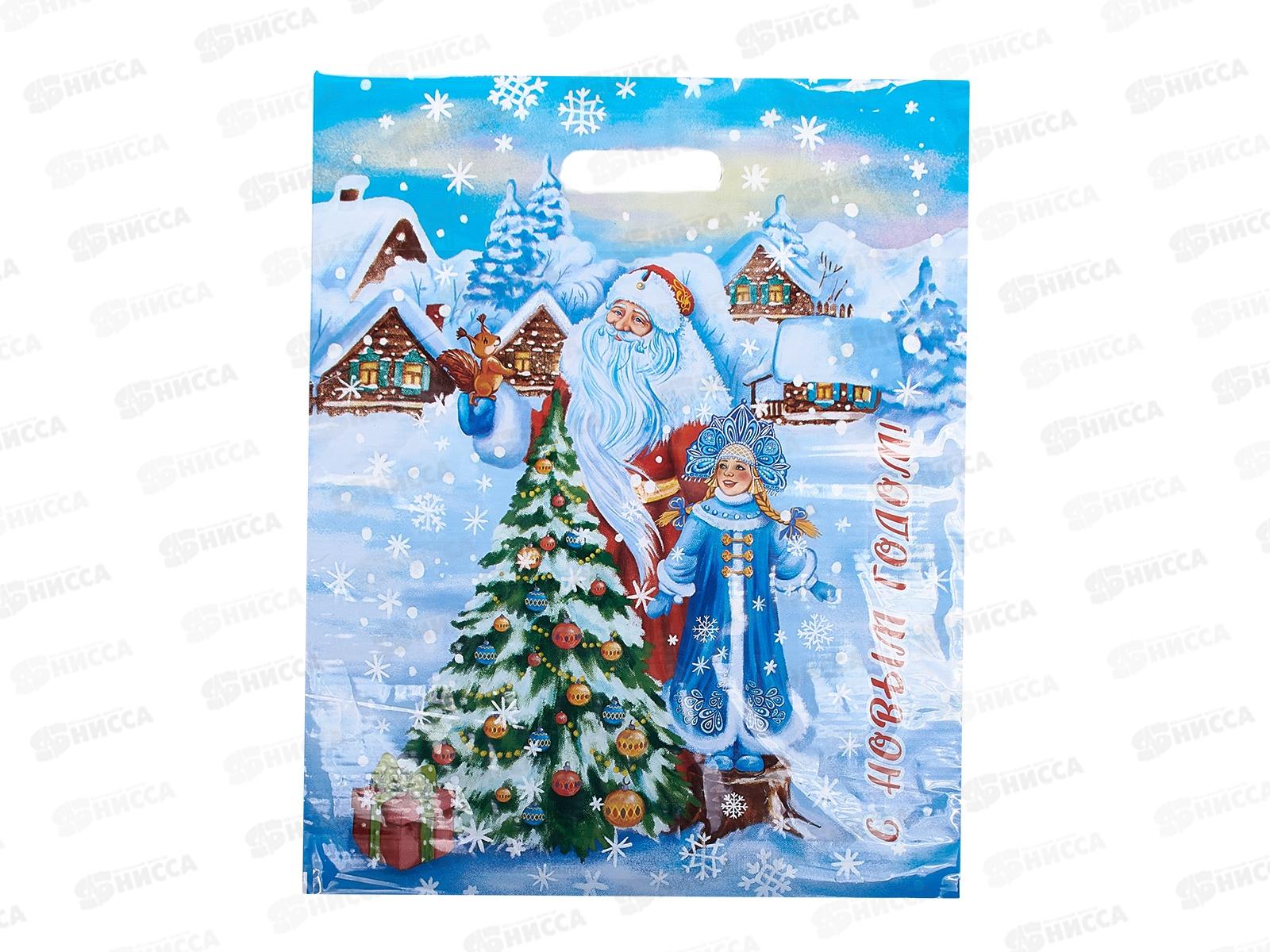 Пакет пробивной НГ 38*47 Сказочная околица *50/500