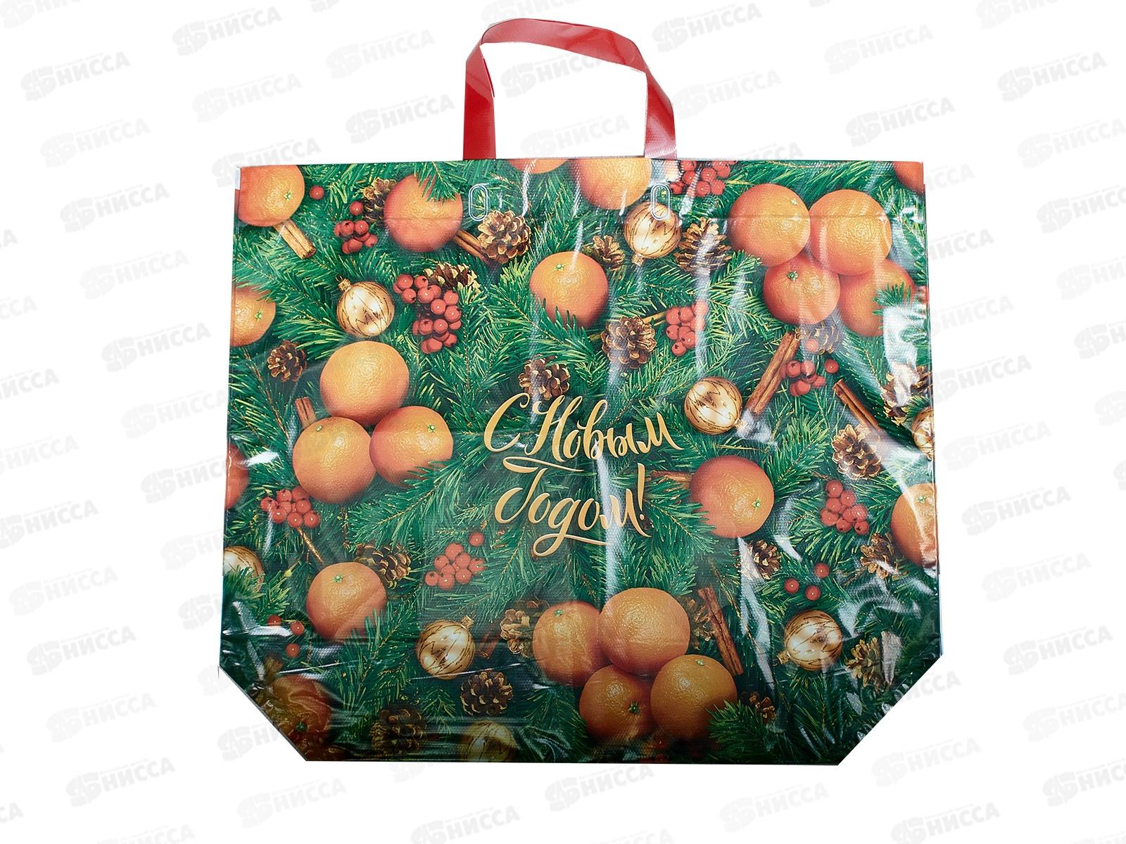 Пакет  сумка Эко ПВД НГ 60*50 Еловые веточки *10/100