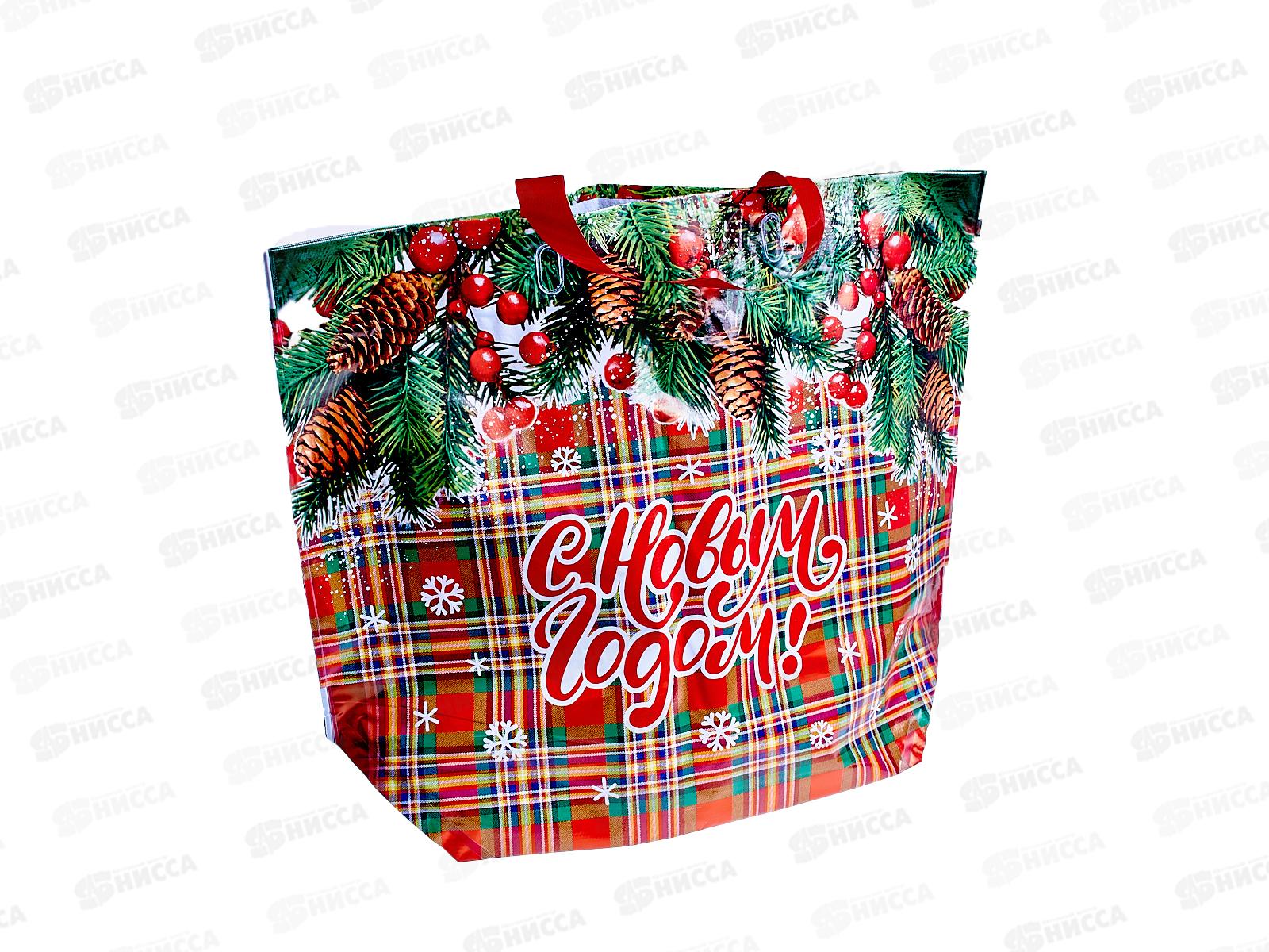 Пакет  сумка Эко ПВД НГ 50*40 Колорит *10/100