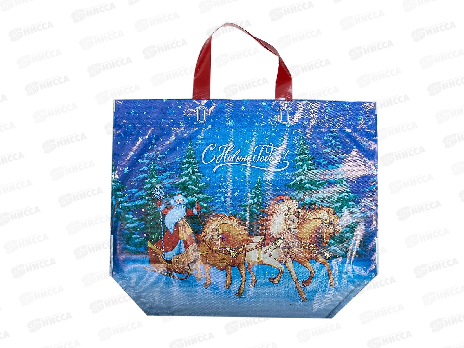 Пакет  сумка Эко ПВД НГ 50*40 Сказочный вечер *10/100